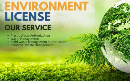 Do You Need an Environmental License? Here’s What You Must Know