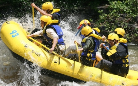 Sports Tourism: Travel for Live Games & Fan Experiences