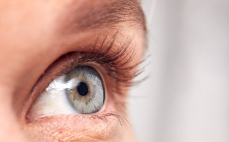 Thyroid Eye Disease (TED) Market Size, Trends, and Growth Insights 2025-2032