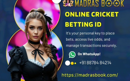 How to navigate MadrasBook’s user interface for beginners — interface design, mobile compatibility, and support.