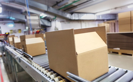Industrial Bulk Packaging Market: Size, Trends, and Growth Dynamics 2025-2032