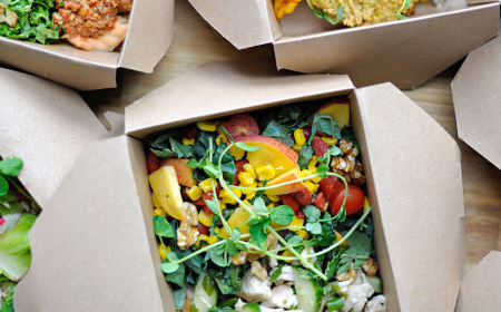 Expanding Horizons in the Plant-Based Packaging Market