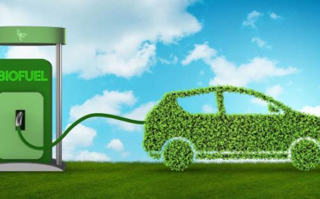 Brazil Biofuels Market: Size, Trends, Opportunities, and Growth Outlook