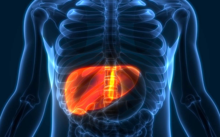 Global Acute On Chronic Liver Failure (ACLF) Market Growth and Trends Analysis