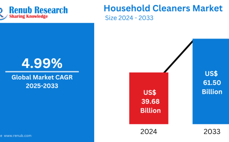 Global Household Cleaning Products Market to Surpass USD 61.50 Billion by 2033