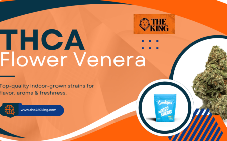 THCA Flower Venera – Premium 420 Flowers at The 420 King