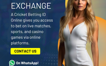 Inside the Betting Revolution: What Makes Tigerexch 247 com a Game Changer