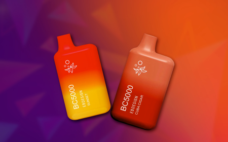 Discounted Elf Bar BC5000 Flavors Online