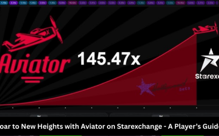 Soar to New Heights with Aviator on Starexchange - A Player’s Guide