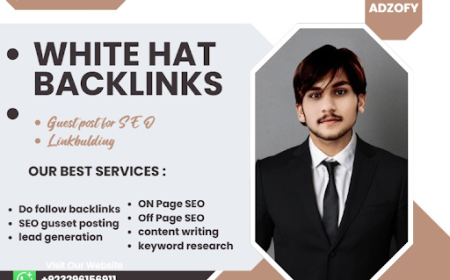 Dofollow Backlinks & Guest Posting: A Smarter Choice than PBNs Avoid PBN Links