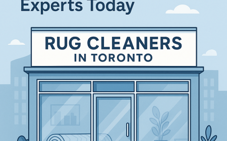 Best Rug Cleaners in Toronto – Trusted Local Experts Today