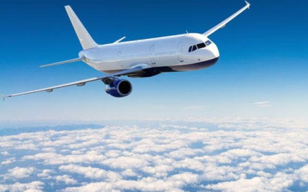 American Airlines Booking Phone Number SeaTac Airport for Reservations