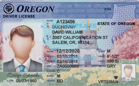 Download Photoshop Drivers License Template PDF Easily