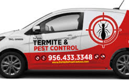 Hiring an Exterminator in McAllen, TX: What You Need to Know