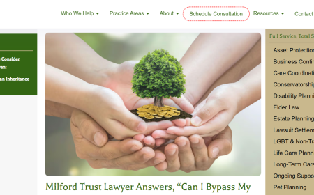 Navigating Legal Support for Aging Loved Ones