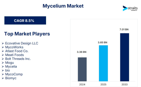 Mycelium Market Size & Forecast 2025–2033: Growth, Trends, and Opportunities