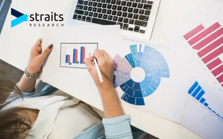 Patient Engagement Solutions Market Size, Trends, and Growth Insights 2025-2033