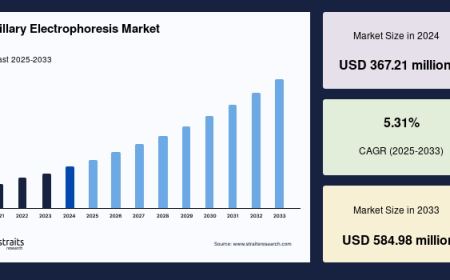 Capillary Electrophoresis Market Forecast: Segmentation, Top Companies & Regional Insights 2025–2033
