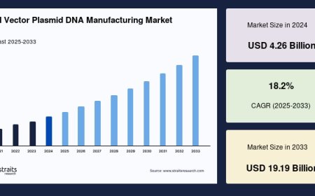 Viral Vector Plasmid DNA Manufacturing Market Size, Growth Forecast & Competitive Landscape (2025–2033)