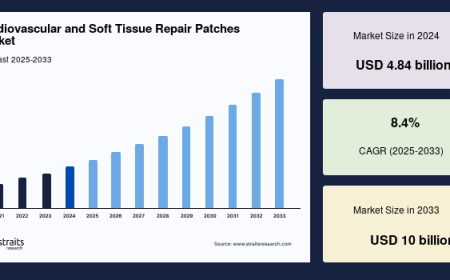 Cardiovascular and Soft Tissue Repair Patches Market Leaders & Competitive Strategies 2025–2033