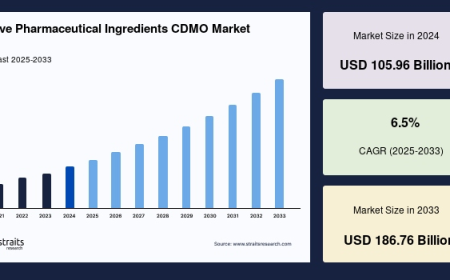 Active Pharmaceutical Ingredients CDMO Market Forecast: Segmentation, Top Companies & Regional Insights 2025–2033