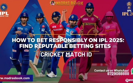 Top 5 Benefits of Using an Online Cricket Match ID for Betting in 2025