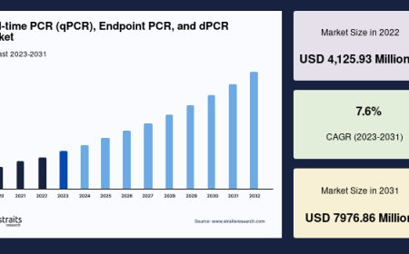 Real-time PCR (qPCR), Endpoint PCR, and dPCR Market Forecast: Segmentation, Top Companies & Regional Insights 2025–2033