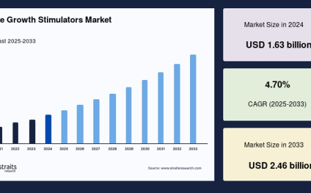Future Growth Trends & Regional Forecast of Bone Growth Stimulators Market (2025–2033)