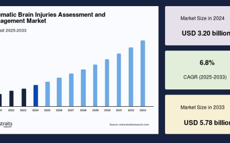 Traumatic Brain Injuries Assessment and Management Market: Size, Share, Forecast, and Competitive Dynamics (2025–2033)