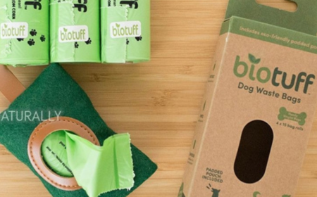 The Real Impact Of Compostable Bags On Our Environment