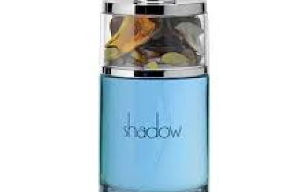 The Ultimate Guide to Choosing Luxury Perfumes for Women: Trends, Tips & Top Picks