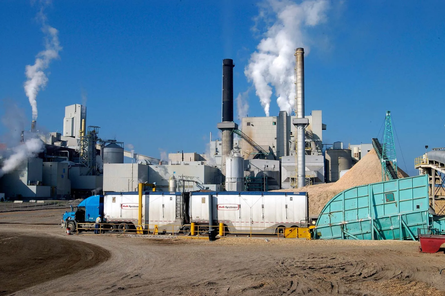 Pulp and Paper Industry: Overview, Process, Challenges & Future