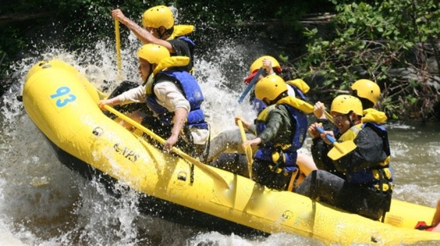 Sports Tourism: Travel for Live Games & Fan Experiences