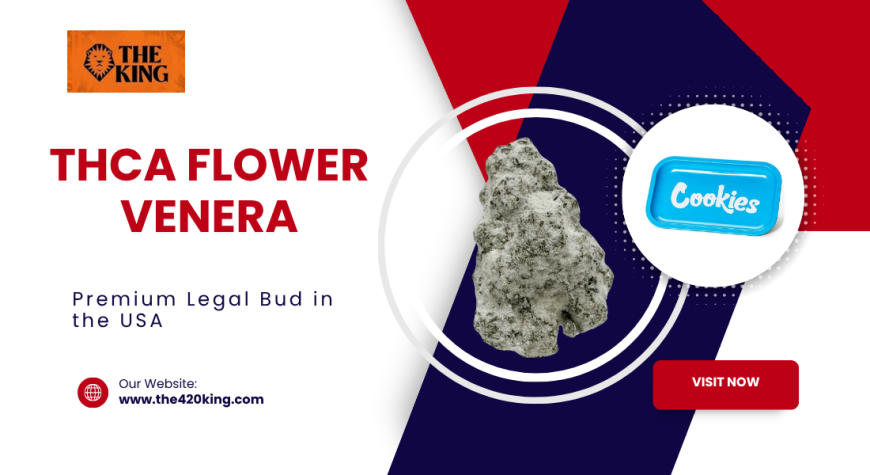 Pure Power with The 420 Kings: Venera THCA Flower Review & Top Picks in Miami, USA