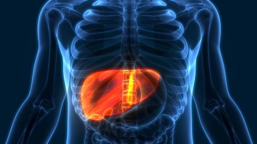 Global Acute On Chronic Liver Failure (ACLF) Market Growth and Trends Analysis