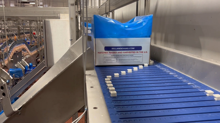 Leading Manufacturer of High-Quality Food Processing Equipment