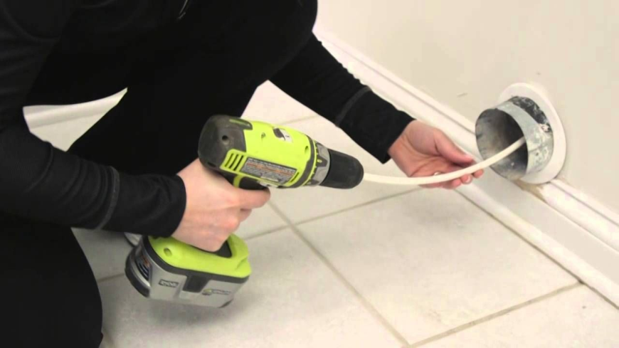 What Risks Birds and Stray Animals Pose to Brooklyn Homes