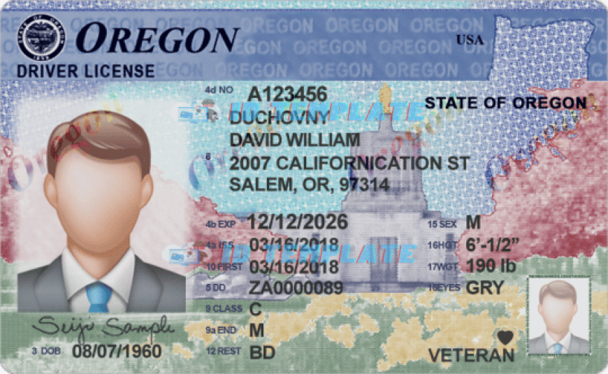 Download Photoshop Drivers License Template PDF Easily