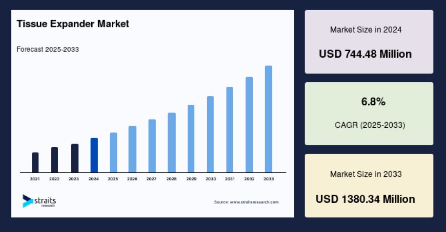 Tissue Expander Market Deep Dive: Trends, Growth & Strategic Insights 2025–2033