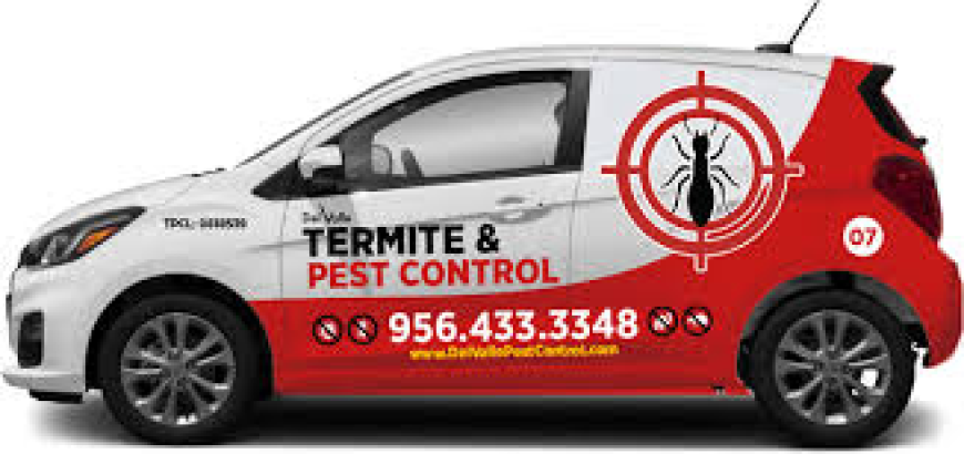 Hiring an Exterminator in McAllen, TX: What You Need to Know