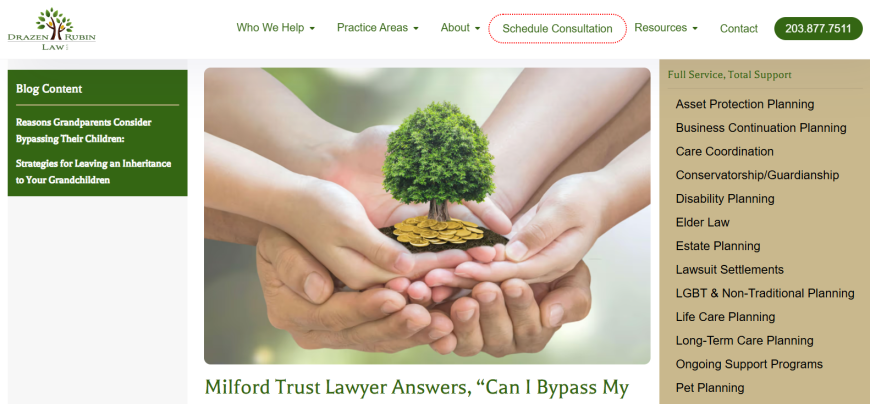 Navigating Legal Support for Aging Loved Ones