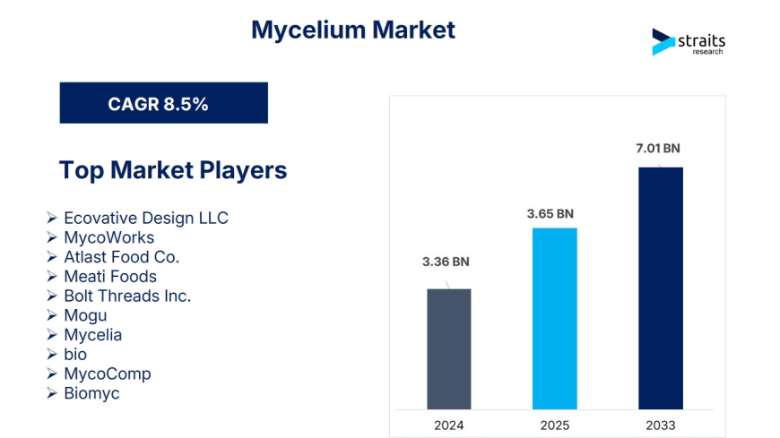 Mycelium Market Size & Forecast 2025–2033: Growth, Trends, and Opportunities