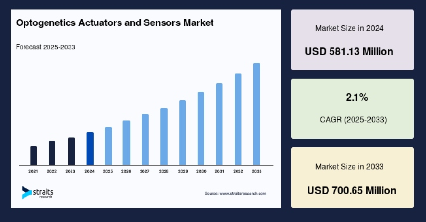 Optogenetics Actuators and Sensors Market Outlook 2025–2033: Size, Trends, Growth Drivers & Regional Breakdown