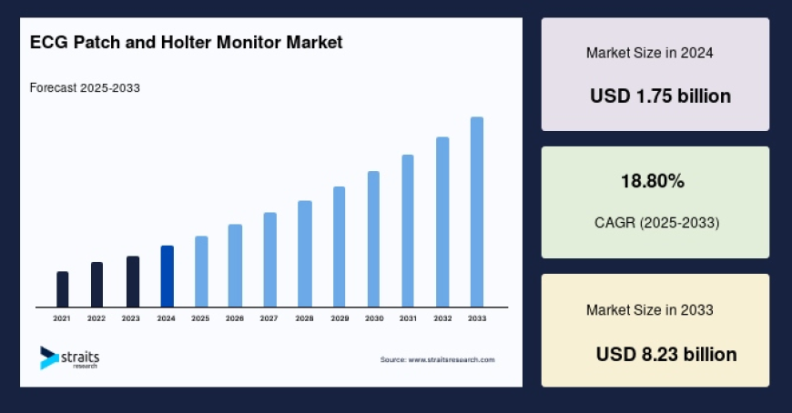 ECG Patch and Holter Monitor Market Outlook 2025–2033: Size, Trends, Growth Drivers & Regional Breakdown