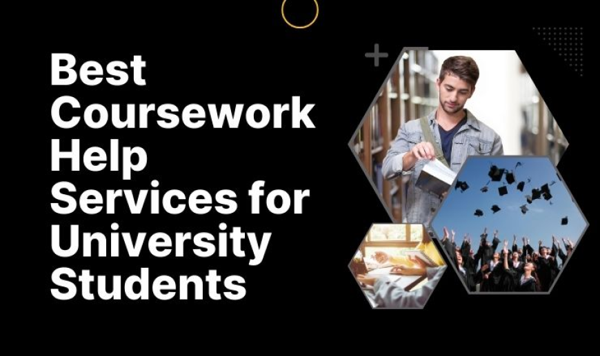 Best Coursework Help Services for  University Students