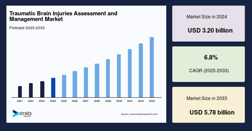 Traumatic Brain Injuries Assessment and Management Market: Size, Share, Forecast, and Competitive Dynamics (2025–2033)