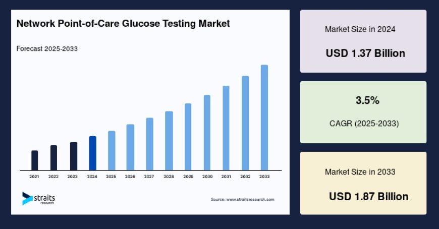 Network Point-of-Care Glucose Testing Market Segmentation & Regional Breakdown: Forecast 2025–2033