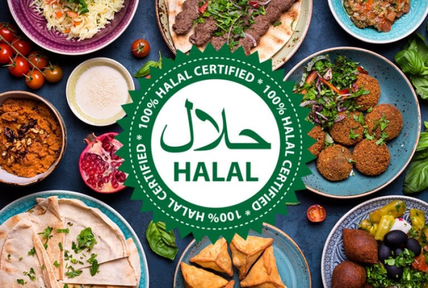 Introduction to Halal Doner Kabab and Halal Dining