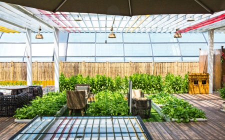 Why a Lattice Patio Cover Is the Perfect Blend of Style and Shade