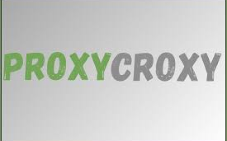 Discover ProxyCroxy: Your Gateway to Private and Free Browsing